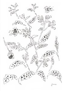 Studio su bombi e fiori selvatici da june art