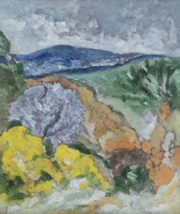 Paesaggio mediterraneo da M. Vet