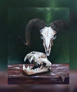 Memento mori (Studio di crani animali)