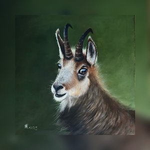Il guardiano delle Alpi
