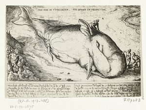 Stampa della balena arenata ad Anversa, 2 luglio 1577 da A.B. van Deinse