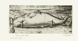 Stampa della balena arenata ad Anversa, 2 luglio 1577