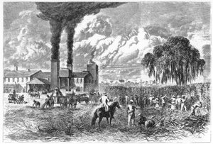 Piantagione di zucchero, New Orleans, 1870 da A. R. Ward