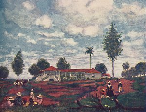 Una fazenda di caffè, 1916