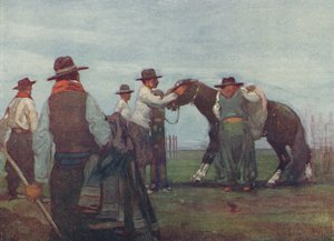 Gauchos che domano un giovane cavallo, 1916 da A. S. Forrest