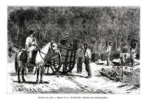 Raccolta del caffè, Brasile da A. de Neuville