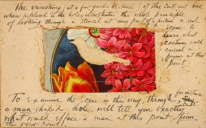 Stencil per uccelli, cartella di studio per il libro "Nascondere la colorazione nel regno animale". da Abbott Handerson Thayer