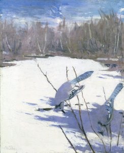 Ghiandaie blu in inverno, studio per il libro Colorazione mimetica nel regno animale, ca. 1905-1909 da Abbott Handerson Thayer