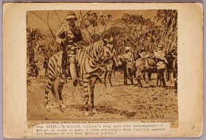 Cavallo e incrociatore mimetizzati, cartella di studio per il libro La colorazione occultabile nel regno animale da Abbott Handerson Thayer