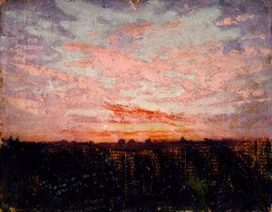 Alba o tramonto, studio per il libro "Nascondere la colorazione nel regno animale".