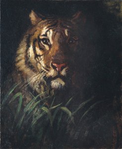  da Abbott Handerson Thayer