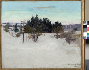 Paesaggio Invernale, 1902 da Abbott Handerson Thayer