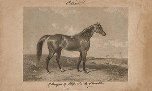 Aliwal, la proprietà di Sir Harry Smith, Bart (litografia) da Abraham (after) Cooper