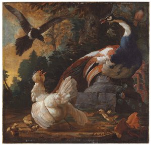 Un pavone, pollame e una gazza in un paesaggio, 1720 da Abraham Bisschop