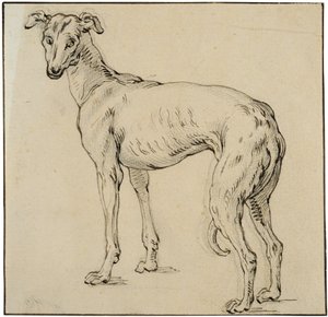  da Abraham Bloemaert