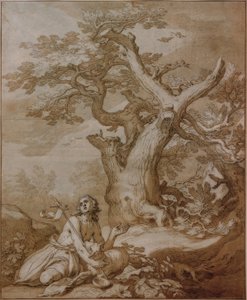 San Giovanni Battista nel deserto da Abraham Bloemaert