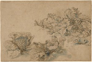 Studi su una pianta da midollo e sui cavoli da Abraham Bloemaert