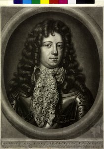 Conte di Nassau-Diez Henry Casimir II