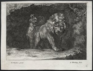 Vari leoni da Abraham Blooteling