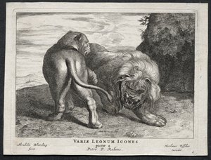 Vari leoni da Abraham Blooteling