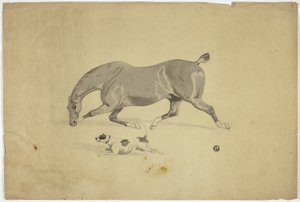 Cavallo e cane in corsa da Abraham Cooper