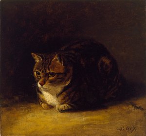 Studio di un gatto, 1817