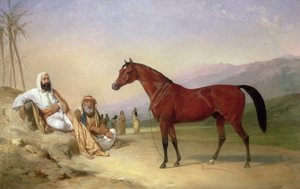 Due beduini con uno stallone arabo baio nel deserto da Abraham Cooper