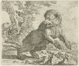 Orso attaccato da cani