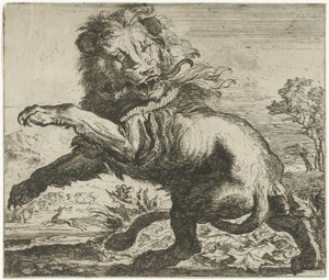 Leone e serpente in combattimento