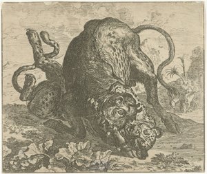 Leopardo e toro da Abraham Danielsz. Hondius