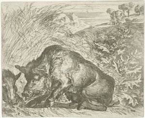 Cinghiale (serie)
