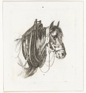 Testa di cavallo con briglie, collare e sella da Abraham Hendrik Winter