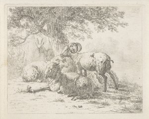 Pecore e un caprone da Abraham Hendrik Winter
