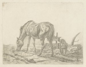 Cavallo slegato vicino a un aratro da Abraham Hendrik Winter