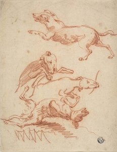 Schizzi di cani che giocano