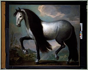 Cavallo in un paesaggio da Abraham Jansz. van Diepenbeeck