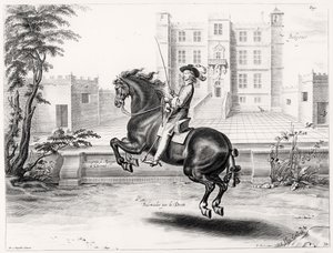 Illustrazione da un manuale di equitazione, inciso da Peeter Clouwet (1629-70), 1658