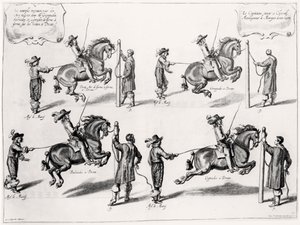 Illustrazione da un manuale di equitazione, inciso da Peeter Clouwet (1629-70), 1658