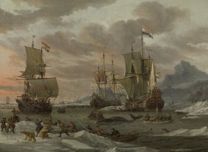 Terreni di caccia alle balene nell