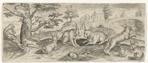 Scoiattoli e conigli (serie Animali)