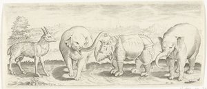 Gazzella, elefante e rinoceronte