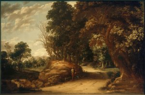 Paesaggio boscoso con viandanti in sosta da Abraham van den Rande