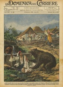 A Bokain (Bosnia) un orso ha aggredito due donne che si erano recate ad attingere acqua alla fonte