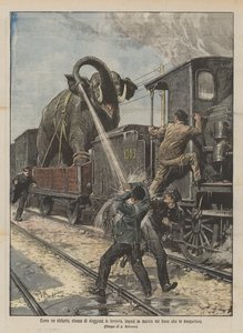 Un elefante stanco di viaggiare in ferrovia impedisce la marcia del treno