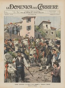 Costumi caratteristici, un corteo di tori romagnoli a Pontecorvo (Caserta) da Achille Beltrame