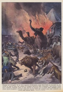 Fiamme nel serraglio!