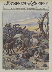 Orrori della guerra, torme di lupi affamati invadono il campo di battaglia di Augustow assalendo morti e feriti