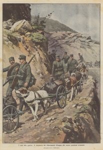 I cani alla guerra, il trasporto dei rifornimenti d
