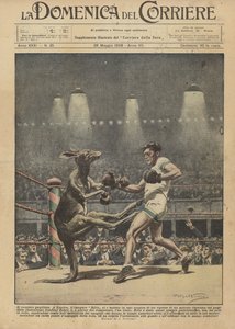 Il canguro pugilista da Achille Beltrame