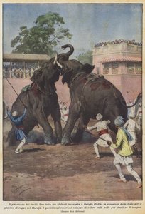 Il più strano dei duelli da Achille Beltrame